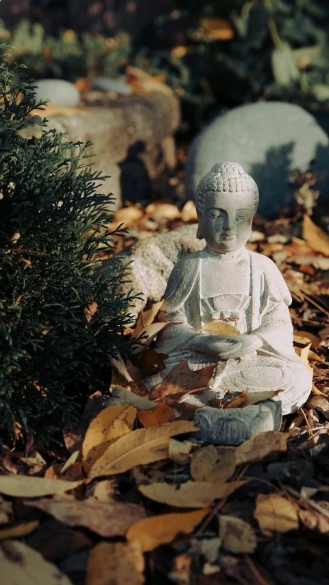 a stone buddha statue sitting in leaves with rocks in background