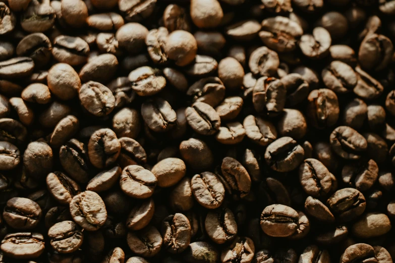 coffee beans with some missing pieces