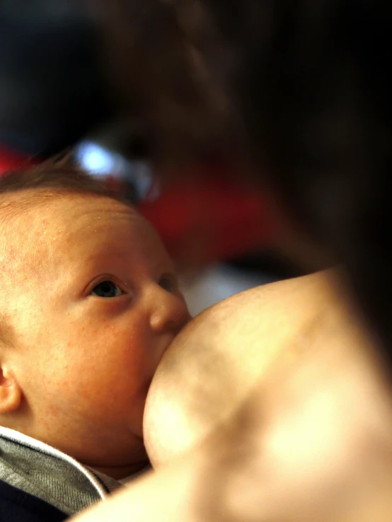 a close - up of a young child and its parent