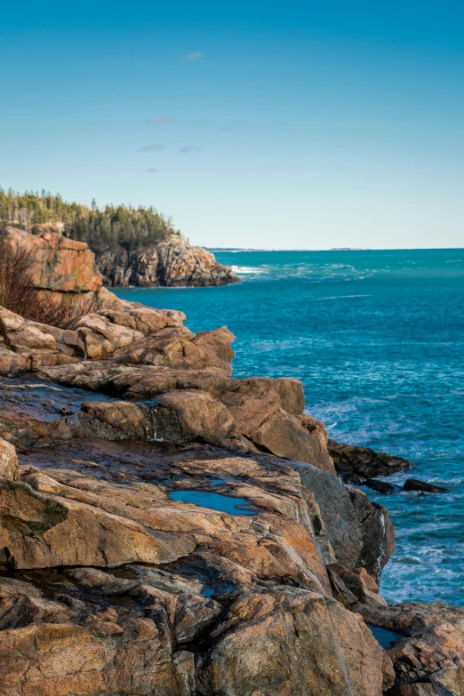 a beautiful view of an ocean with a forest