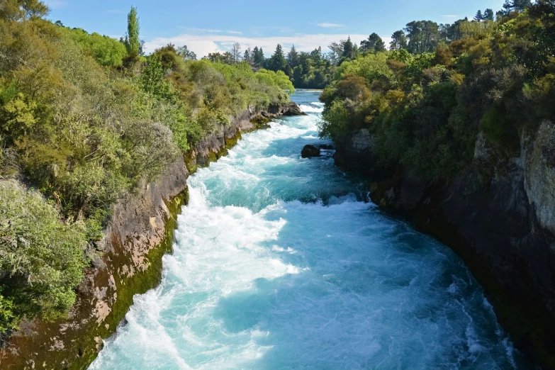 a river with many rapids surrounded by forest