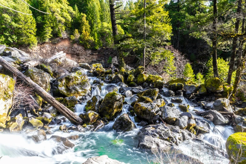 water rushing through a wooded valley with rocks and green vegetation