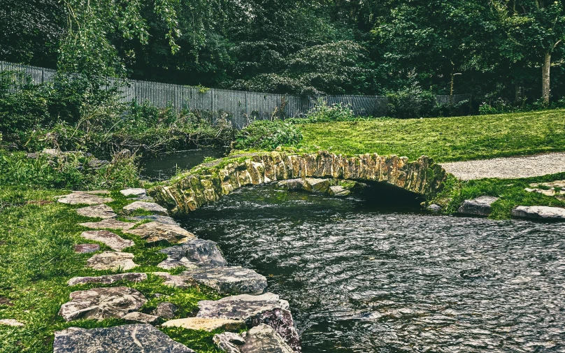 a path with rocks and grass between the rocks is going through the water