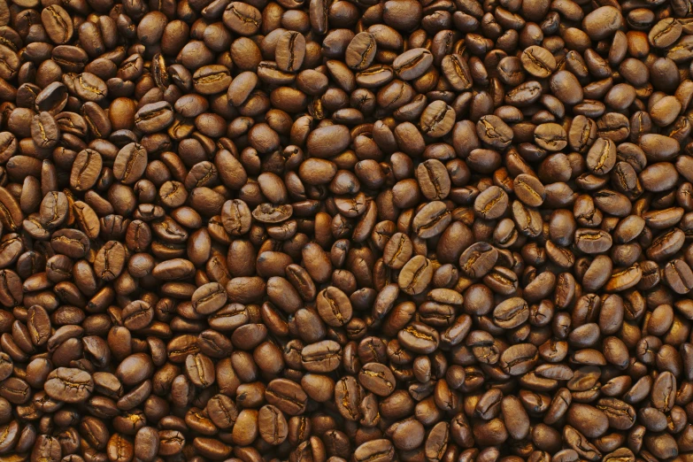 many different sizes of coffee beans all together