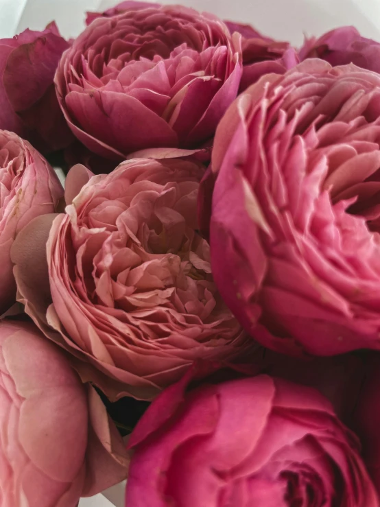 pink flowers are in a square glass vase