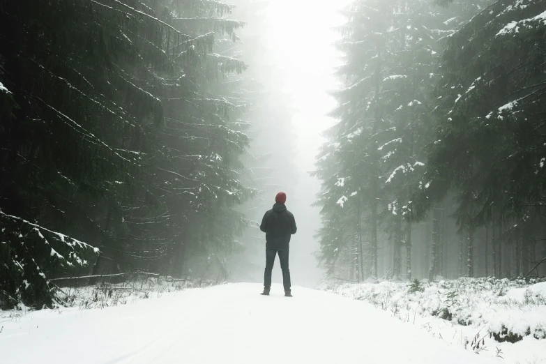 a person standing on the road in front of the trees