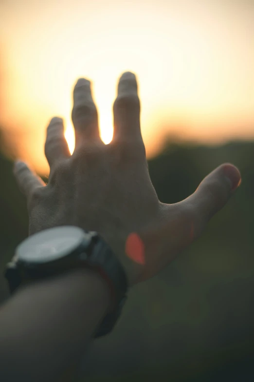 a closeup of a person's hand with the sun in the background