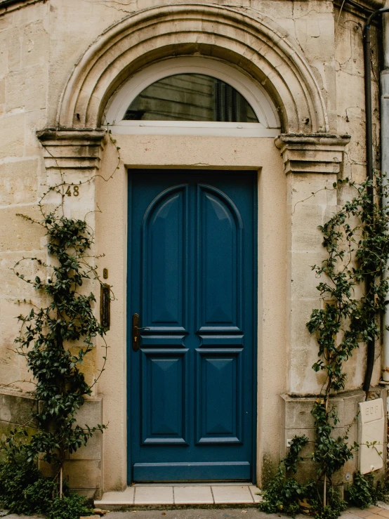 an image of blue doors with a planter on the outside