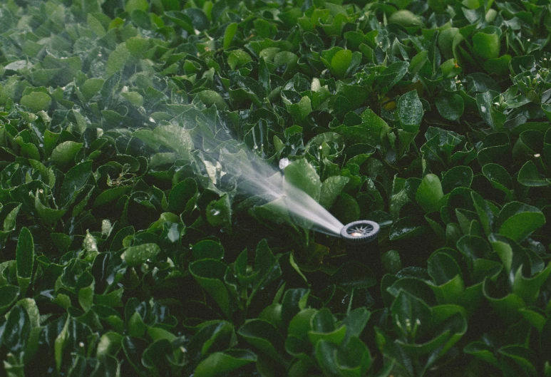 an object is spraying down in the grass