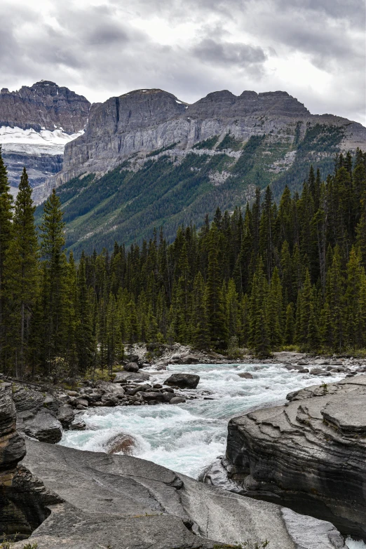 mountains with trees and rocks near a river