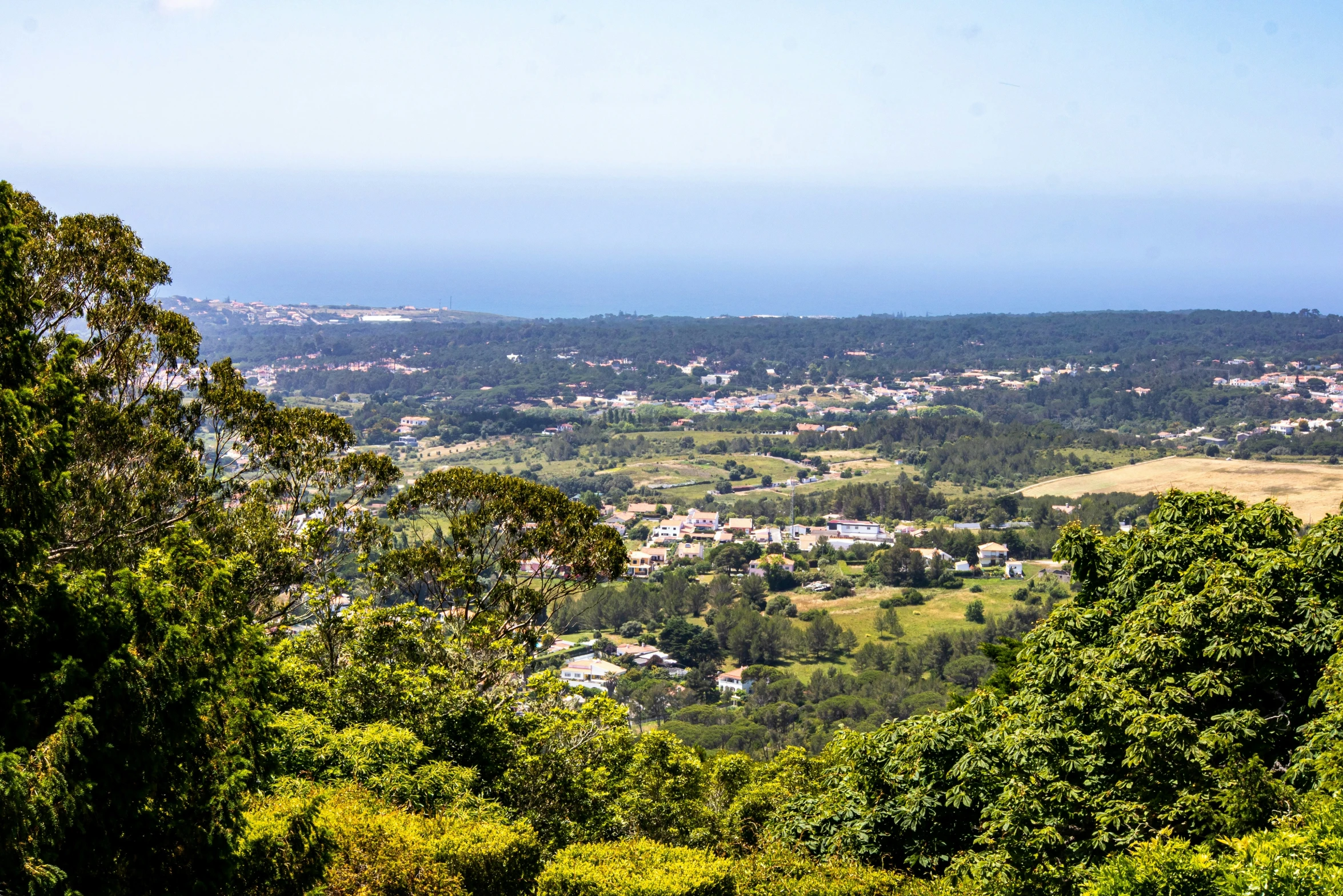 a scenic valley with lots of trees around