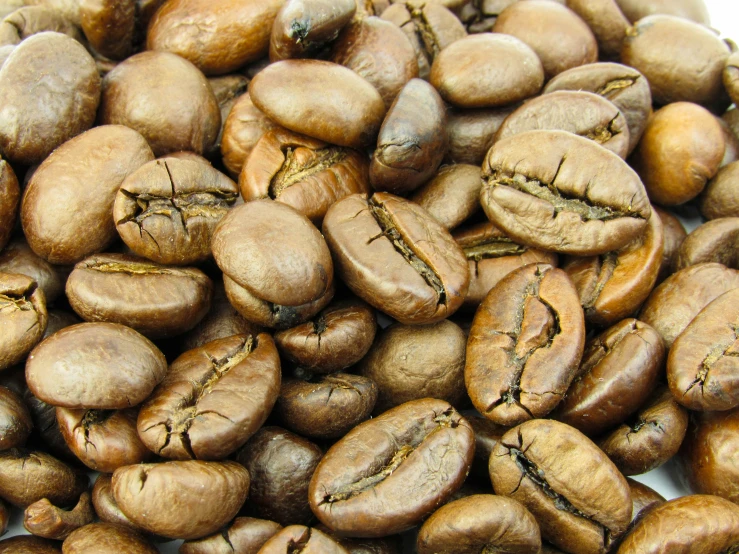 a pile of coffee beans sitting next to each other