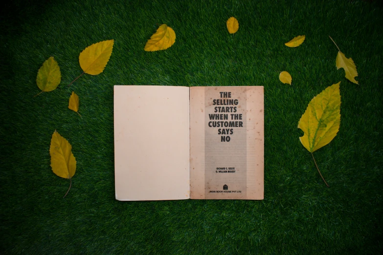 there is a book that has leaves on the ground