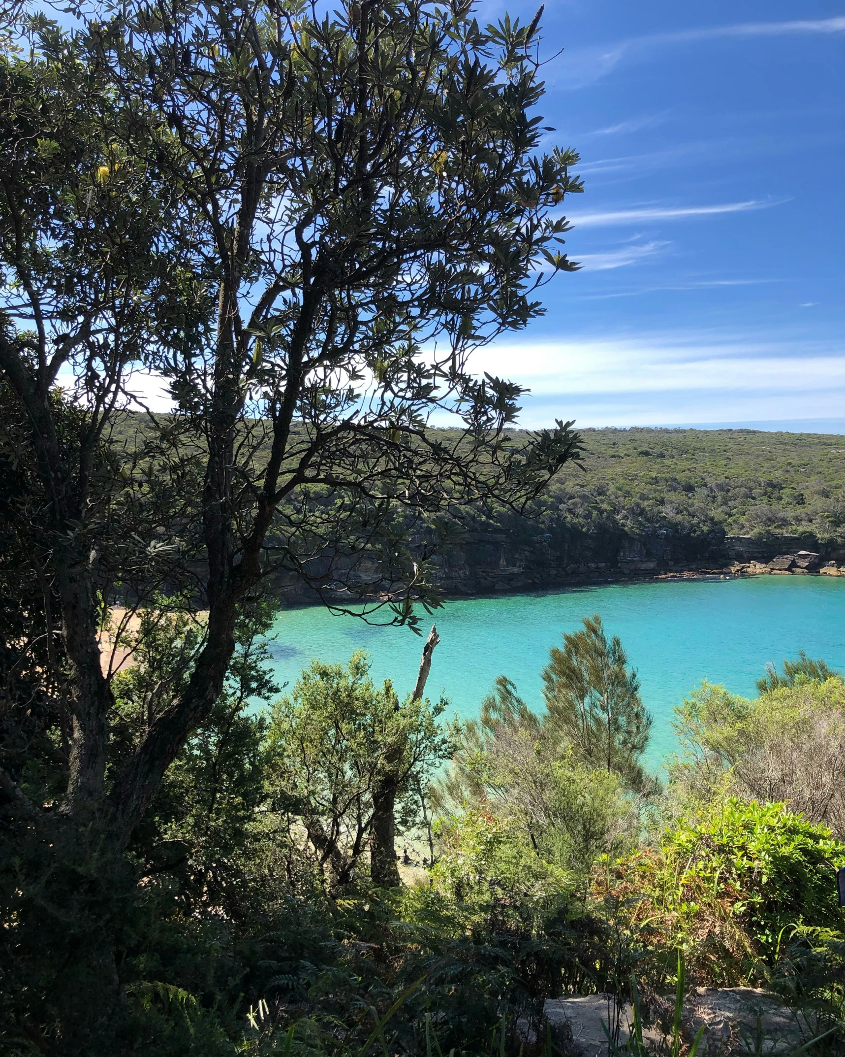 the trees are by the blue water are very beautiful