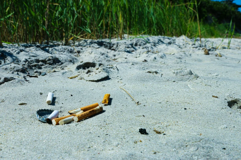 a broken cigarette laying on the sand