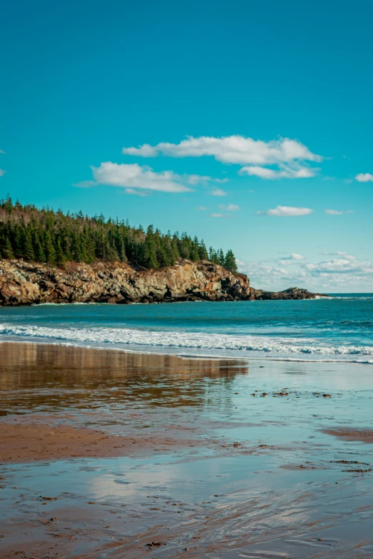 a scenic view of some green trees and a body of water