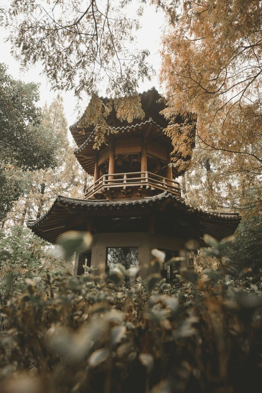 a building sits in the middle of trees in the fall