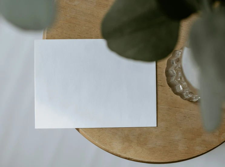 some plant and white paper sitting on a table