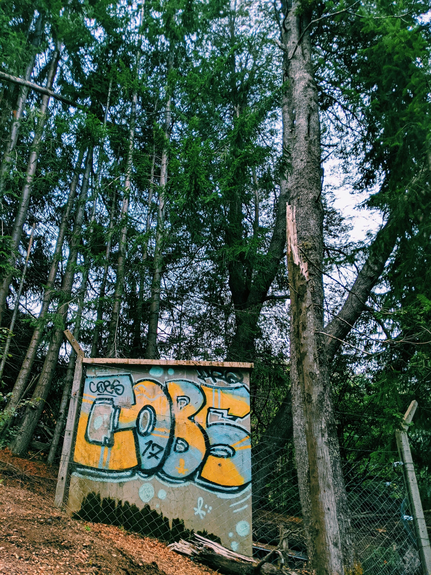 a street sign with graffiti in the middle of trees