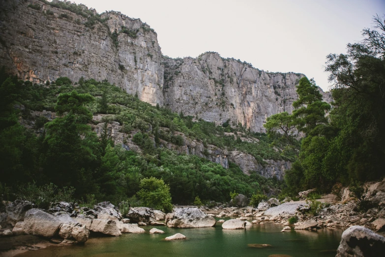 there are rocks and trees near a mountain