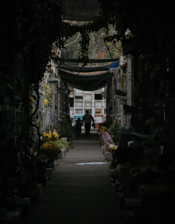 an alley way is shown with flowers in the dark