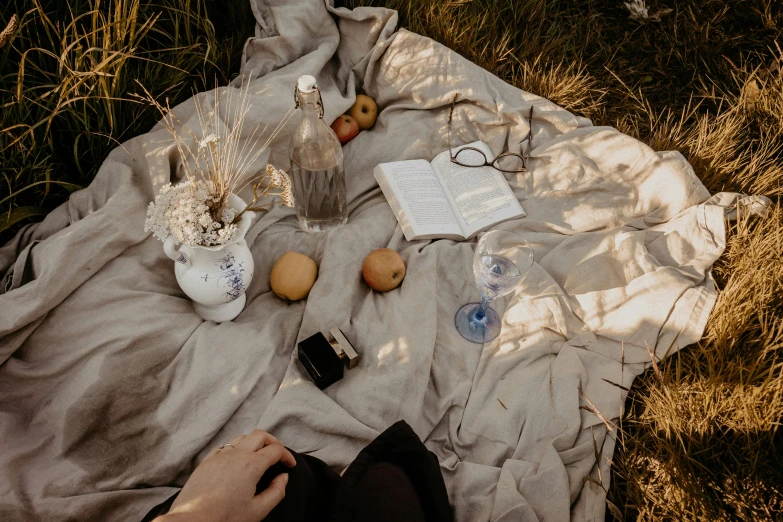 a picnic blanket sits near some bottles of liquor and fruit