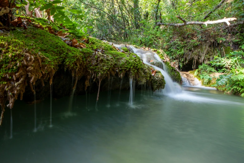 waterfall with green water surrounded by lush green trees