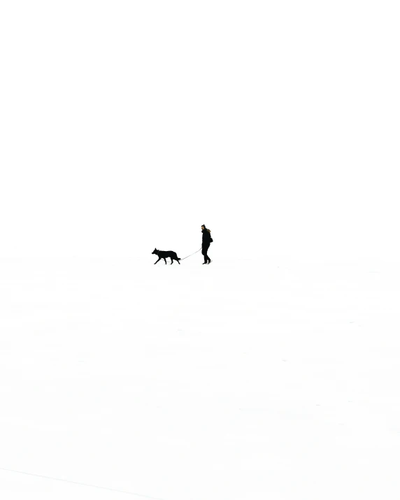 two people walking dogs in the snow