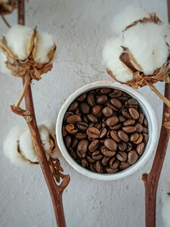 coffee beans and cotton in a small bowl