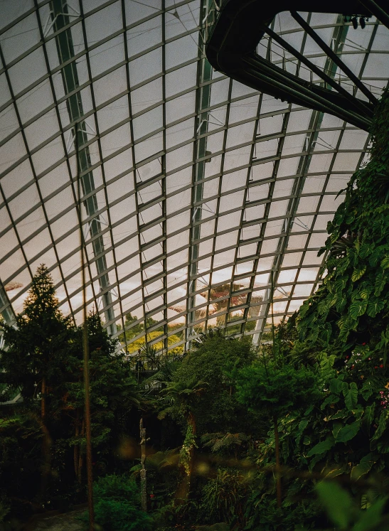 a tropical garden with a glass roof and plants growing up the side of it