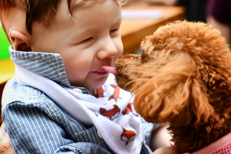 a brown puppy chewing on the neck of a young toddler