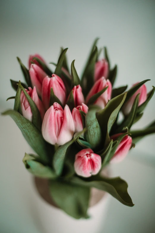 pink flowers in a white vase with greenery