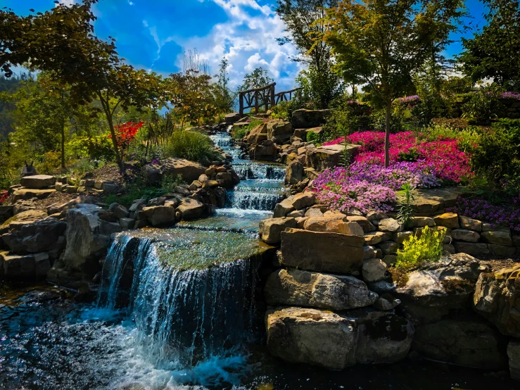 colorful garden scene with waterfall, pink flowers, rocks and green trees