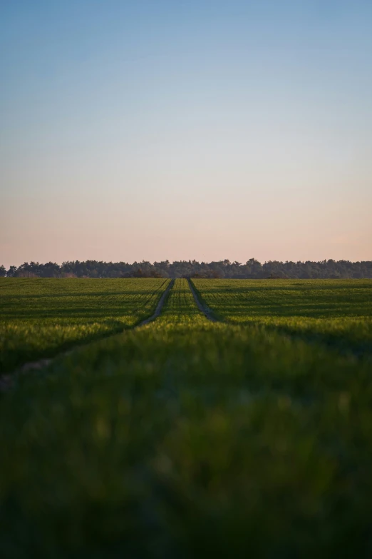 there is a picture of an empty field