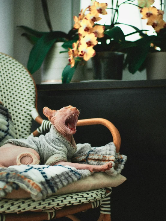 a baby yawns in the chair with a striped blanket on it