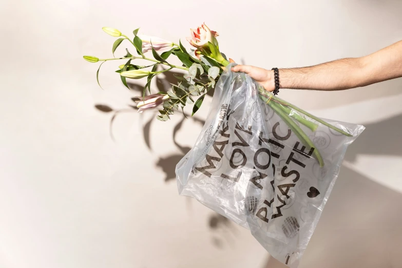 a person holds a bag filled with flowers