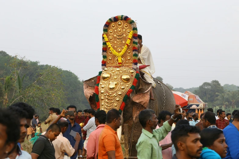 a large elephant with a crowd of people watching