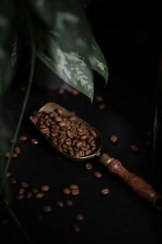 a wooden spoon full of coffee beans with some leaves next to it