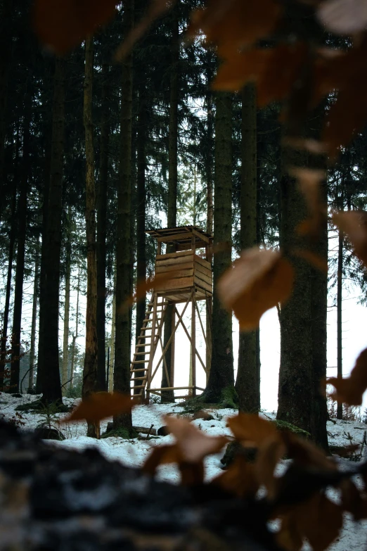 a wooden tower sitting in the middle of a snow covered forest