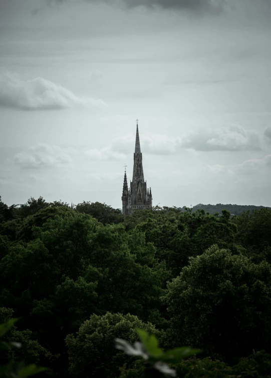 a clock tower is behind the trees