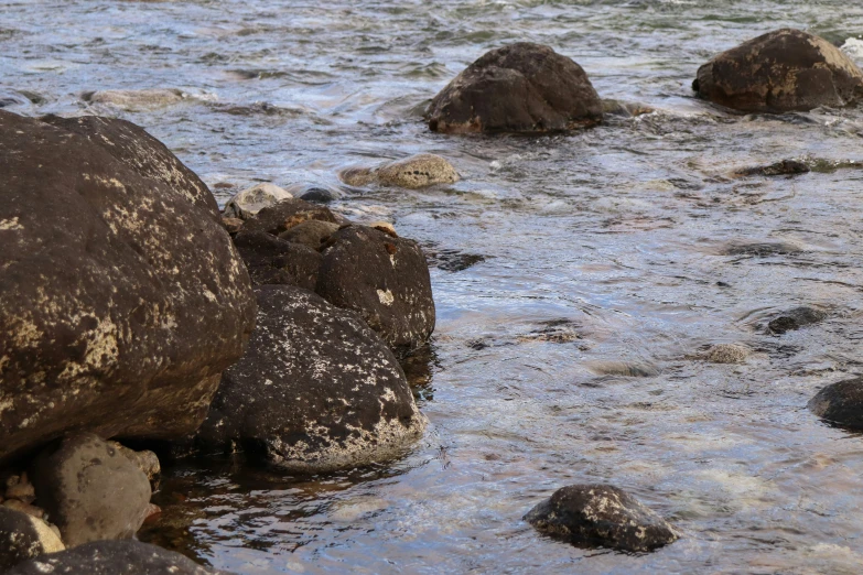 the rocks in the water are covered by ice