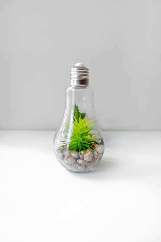 a light bulb shaped vase with a plant inside