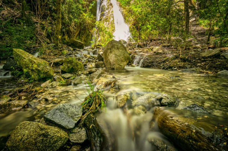 an image of a stream that is running through the woods