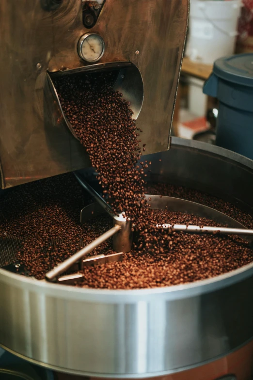 a machine full of coffee beans in a kitchen