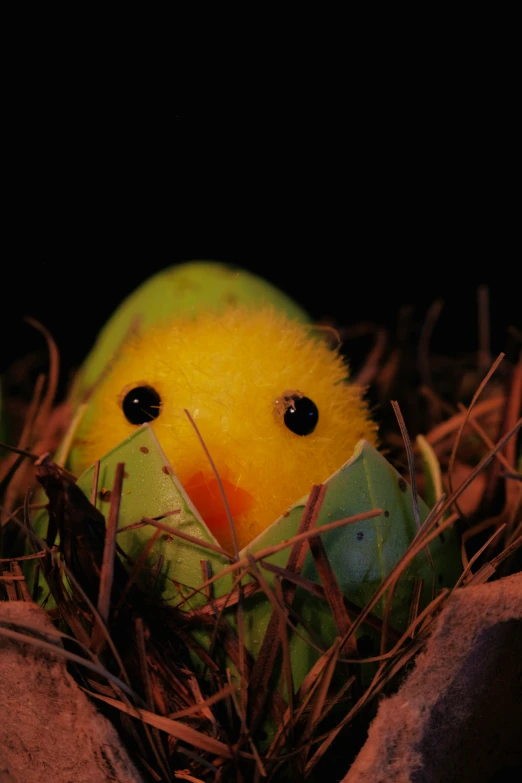 a close up of a small bird in a nest