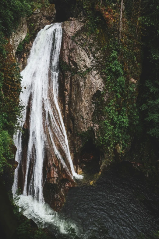 a large waterfall near many trees in a forest