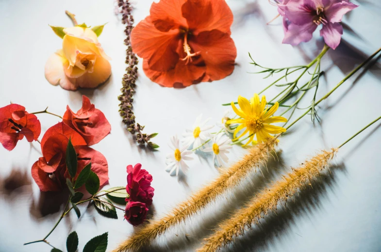 a variety of colorful flowers laid out with a string