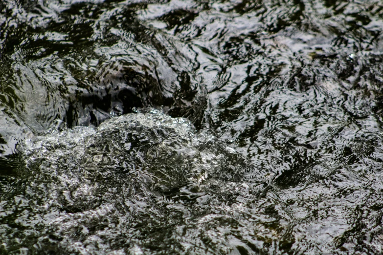 the water is very shallow and that's where you can see the rocks