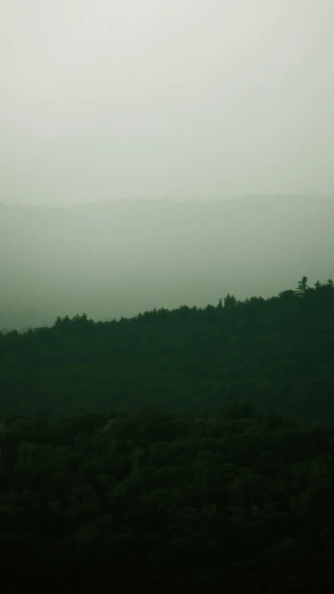 several hills covered in very dark trees with no clouds