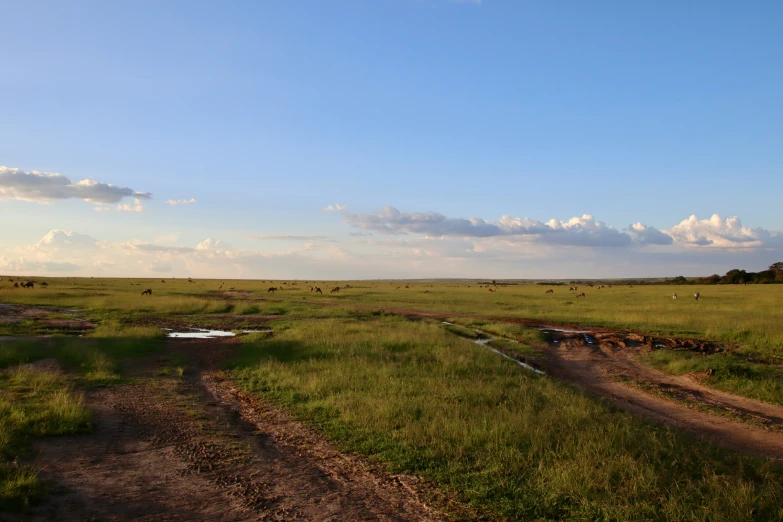 a dirt road and a grass field with clouds in the sky